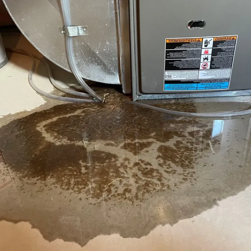 Pipe Burst and Leak Restoration in Washington Terrace, UT